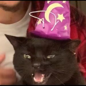 Meet your Posher, Tom